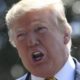 Photo of President Donald Trump