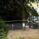 Photo of Gilroy Garlic Festival the morning after the deadly shooting