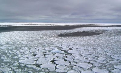 Photo of sea ice