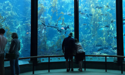 Monterey Bay Aquarium