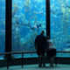 Monterey Bay Aquarium