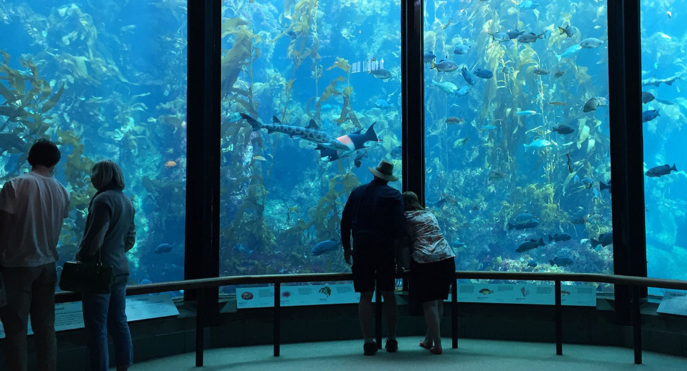 Monterey Bay Aquarium