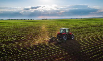 Photo of aerial view of farming