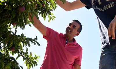 Photo of Bill Purewal in an orchard