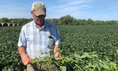 Photo of farmer Randy Miller and his soybeans