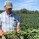 Photo of farmer Randy Miller and his soybeans