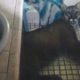 Photo of mountain lion laying on a bathroom floor