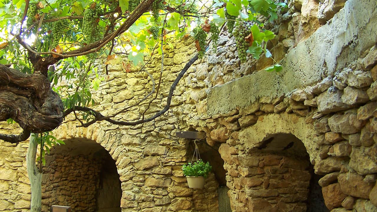 Photo of Forestiere Underground Gardens