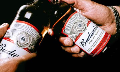 Photo of Budweiser bottles