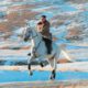 Photo of Kim Jong Un riding a white horse