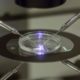 Photo of vitro fertilization