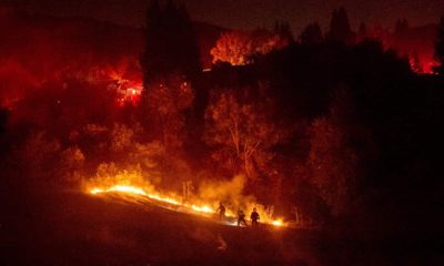 Photo of firefighters working to contain a wildfire in Moraga, Ca.