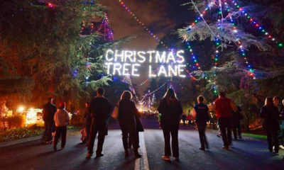 A photo of pedestrians enjoying "walk night" on Christmas Tree Lane