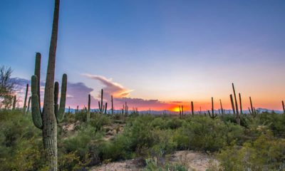 Photo of Tucson, Arizona