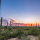 Photo of Tucson, Arizona