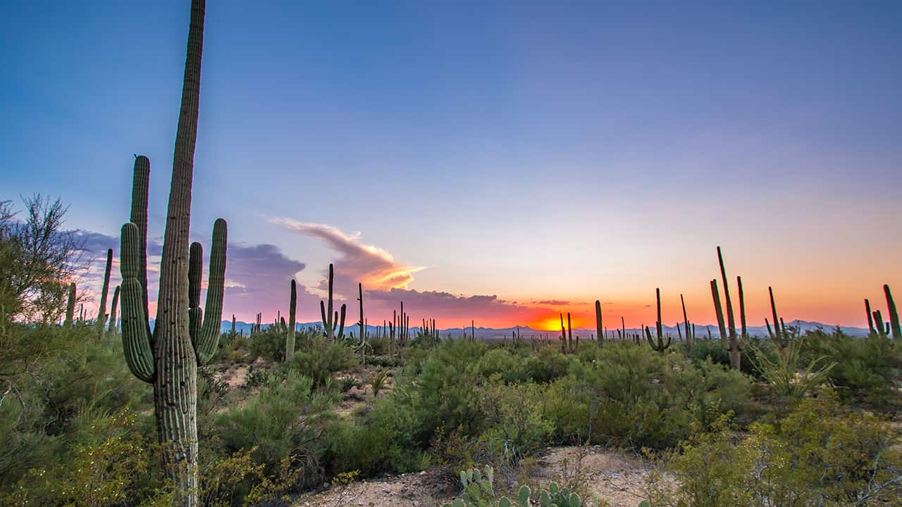 Photo of Tucson, Arizona