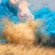 Photo of a gender reveal event