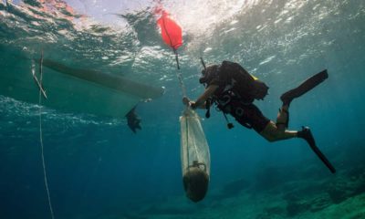 Photo of an archeologist in an underwater excavation