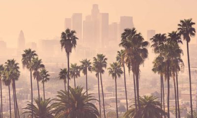 Photo of Los Angeles skyline and palm trees