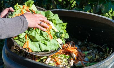 Photo of a person throwing food away