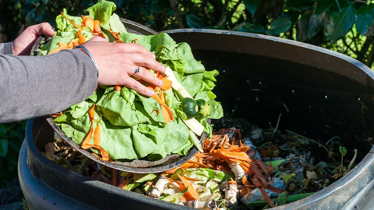 Photo of a person throwing food away