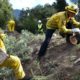 Photo of a fire prevention crew hauling away sections of tree they cut down