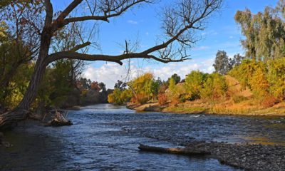 Photo of the Kern River flowing through Hart Park during fall