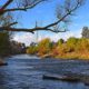 Photo of the Kern River flowing through Hart Park during fall