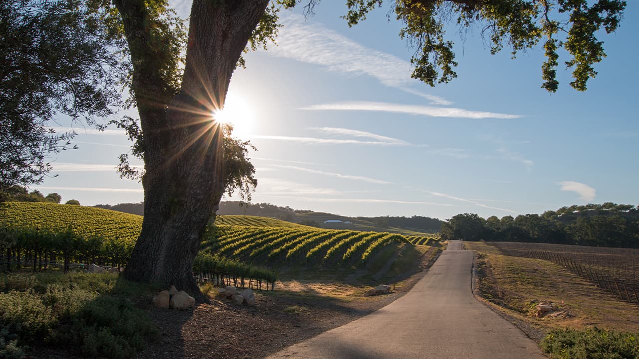 Photo of Paso Robles