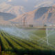 Photo of irrigation sprinkers watering a farmOhi