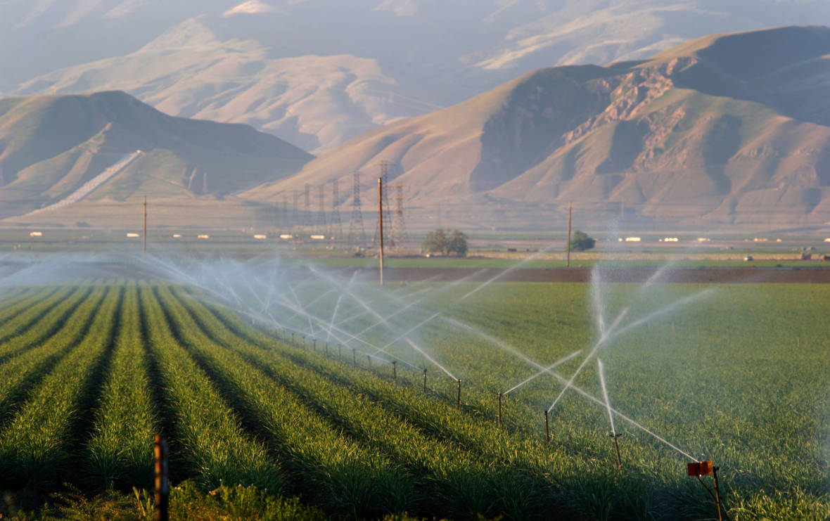 Photo of irrigation sprinkers watering a farmOhi