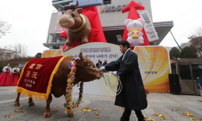 Photo of a farmer parading with a bill in South Korea