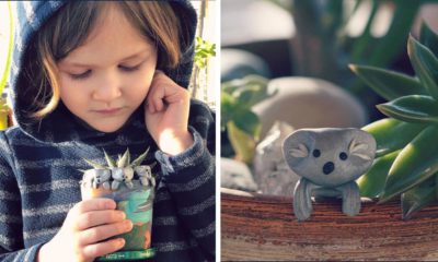 Photo of a young boy with his clay koala creations