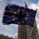 Photo of a pro EU protestor waving flags opposite the House of Parliament in London