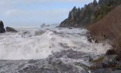 Photo of a sneaker wave