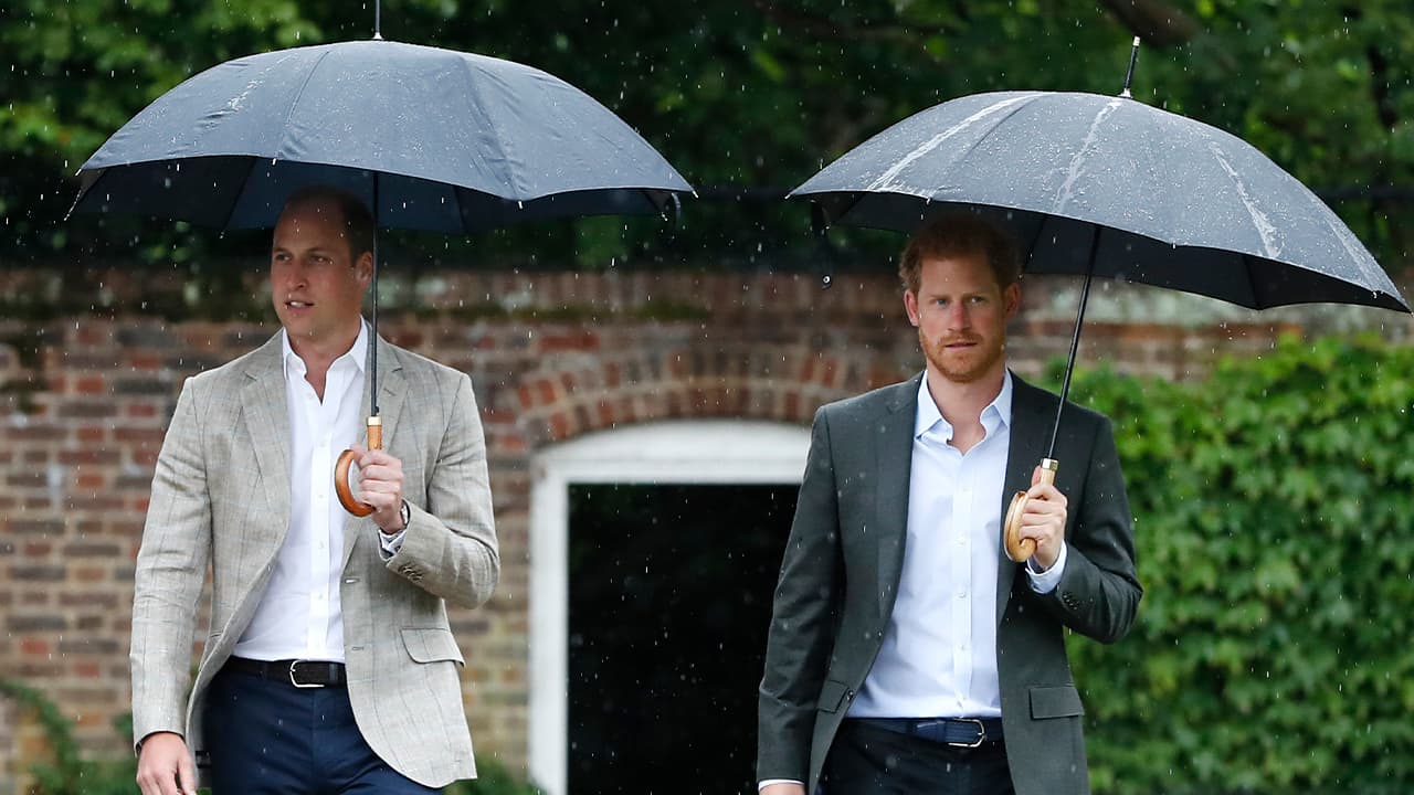 Photo of Prince William and Prince Harry