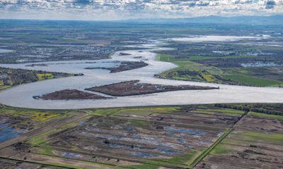 Photo of the San Joaquin River as it flows through California's Delta