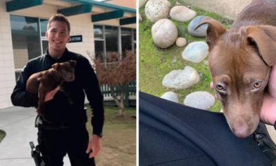 Photo of a Fresno Police officer and his puppy