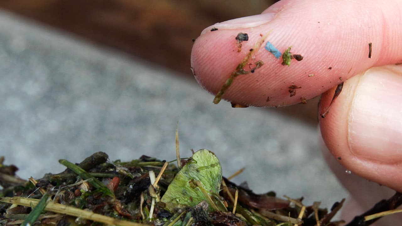 Photo of small pieces of plastic on a person's finger