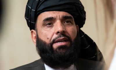 Photo of Suhail Shaheen, spokesman for the Taliban's political office in Doha