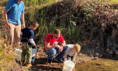 Photo of volunteers releasing trout fry into the Kings River