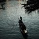 Photo of a gondolier in Venice, Italy