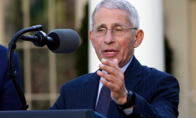 Photo of Dr. Anthony Fauci, director of the National Institute of Allergy and Infectious Diseases