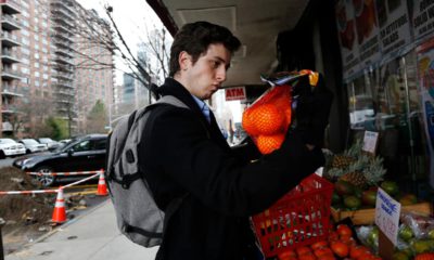 Photo of Liam Elkind looking at oranges