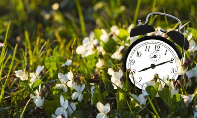 Photo of a clock in the grass