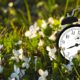 Photo of a clock in the grass