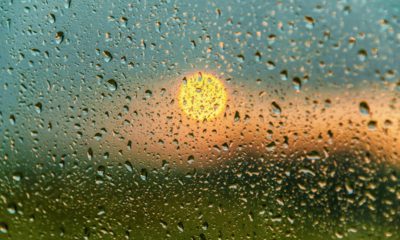 picture of sun poking through raindrops