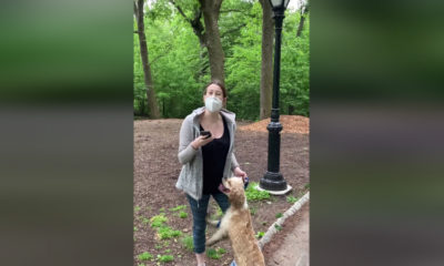 Screen shot of Amy Cooper, a white woman, calling 911 on Christian Cooper, an unrelated black man, because he asked her to keep her dog on a leash in Central Park