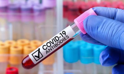 Photo of an antibody blood tube