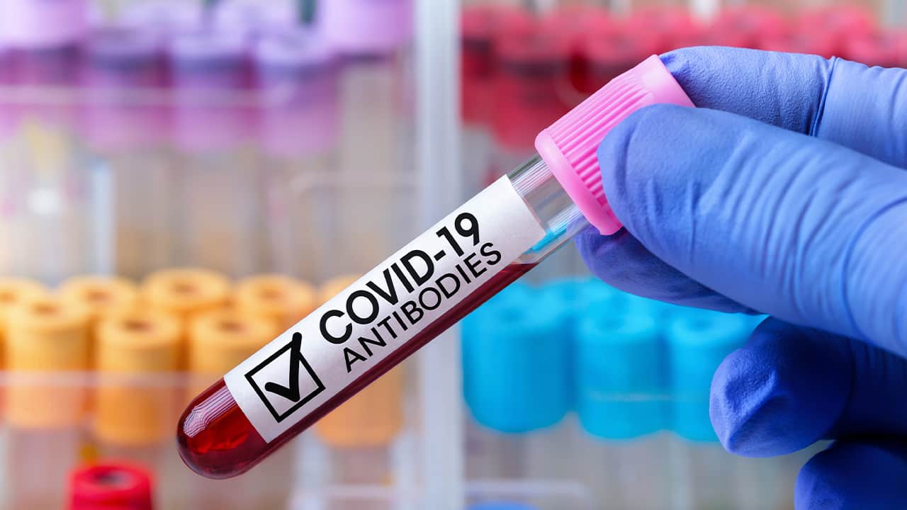 Photo of an antibody blood tube